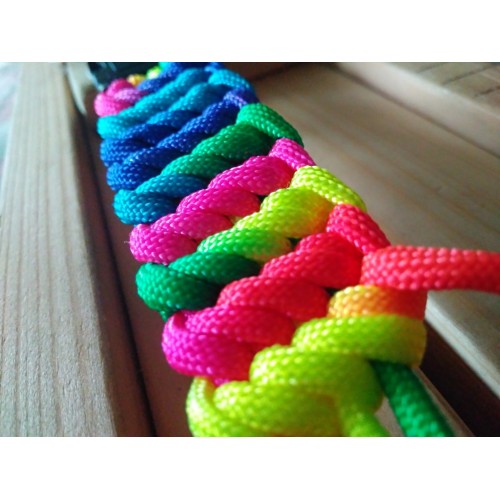 Paracord (Паракорд) 550 - ColorRainbow